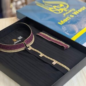 Royal Black Elegance Panjabi